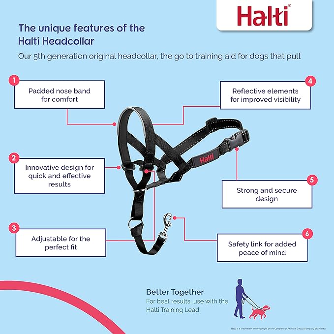 Halti Headcollar - Stop Your Dog Pulling on The Leash. Adjustable, Reflective and Lightweight, with Padded Nose Band. Dog Training Anti-Pull Collar for Medium Dogs (Size 3, Cobalt Blue)