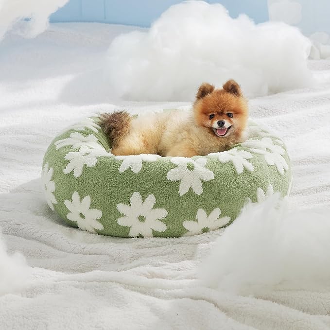 LE SURE Donut Small Dog Bed - Round Cat Beds Indoor Calming Gift for Pets, Cute Modern Beds with Jacquard Shaggy Plush & Anti Slip Bottom, 27 Inch, Green
