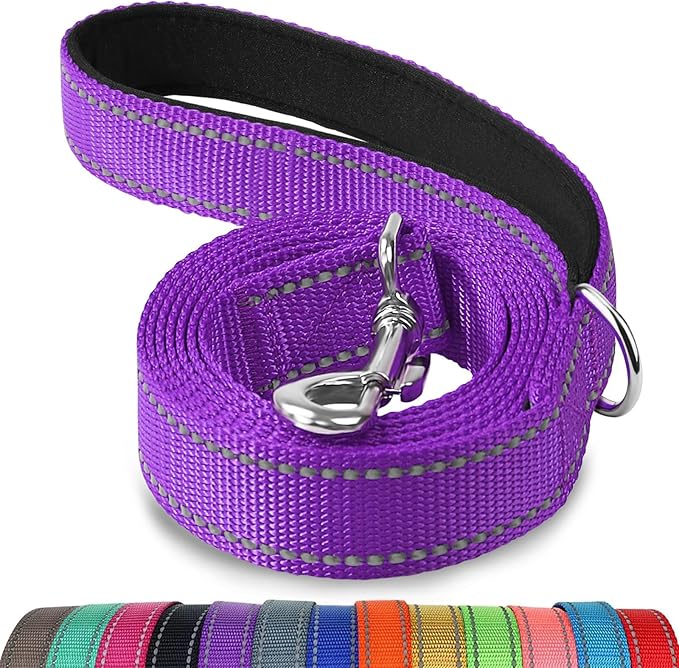 Joytale Dog Leash, 6 FT Double-Sided Reflective, Padded Handle Nylon Heavy Duty Leashes for Medium & Large Dogs Walking, Purple
