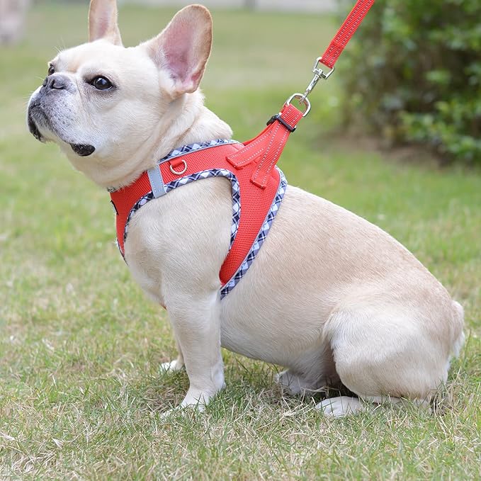 Mercano Soft Mesh Dog Harness and Leash Set, No-Chock Step-in Reflective Breathable Lightweight Easy Walk Vest Harnesses with Safety Buckle for Small Dogs, Cats (Red, L)