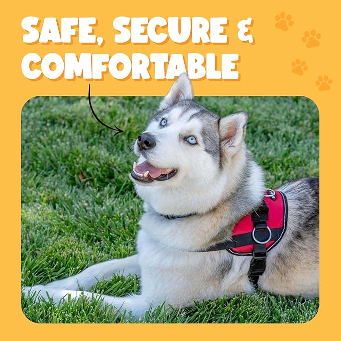 Bark Appeal Purple No-Pull Dog Harness for Extra Large Sized Pets – Adjustable, Reflective Vest with 3 Leash Clips for Added Control, Easy Walks & Training – XXL