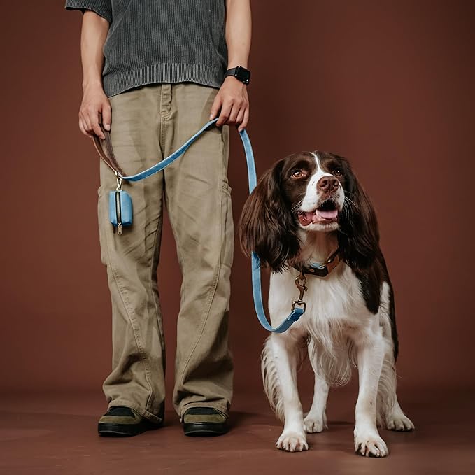 Didog Soft PU Leather Dog Collars for Medium Dogs,Classic Adjustable Dog Collars with Quick Release Metal Buckle,Easy Clean and Comfortable with Nylon Lining,Denim Blue,M Neck 13-19"