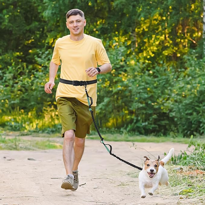 Mile High Life Hands Free Waist Leash for Dog Running Training and Jogging, Adjustable Belt with Double Handle, Reflective Bungee for Medium Large Dogs (Black Teal, 7FT)