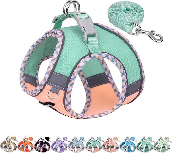 AIITLE Tiny Dog Harness - Lightweight Mesh Step-in Vest for Puppy, Reflective & Escape-Proof Design with High-Stick Magic Tape - Outdoor Use for Chihuahua, Maltese, Shih Tzu(Turquoise-Pink, XXXS)