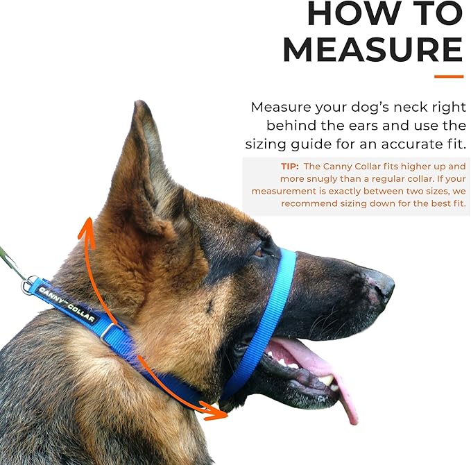 Canny Collar No-Pull Dog Head Collar | Train Your Dog to Stop Pulling & Walk On a Loose Leash | Gentle, Safe, Comfortable Training Aid | Small Dogs | Black, Size 1