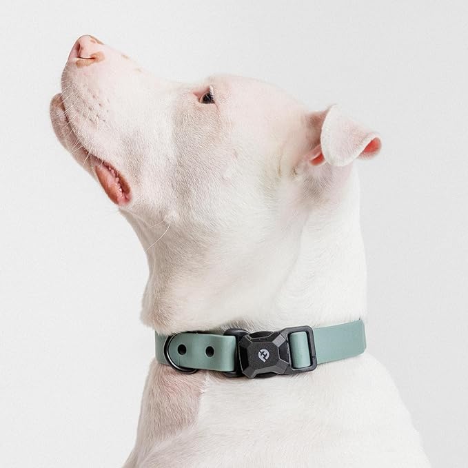 2025 New Edition, Fei & Eve PVC MagEase Dog Collar - Patented Magnetic Buckles | Fur-Safe | 450LB Escape-Proof | Adjustable Fit | Medium (Glacier Green)