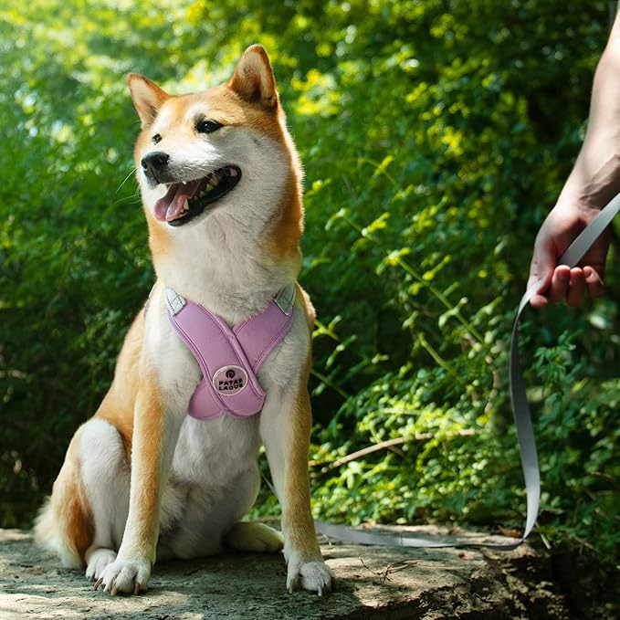 Patas Lague Dog Harness with Leash Set Adjustable Soft Padded Step-in Dog Vest No Choke No Pull Reflective for Small Medium Pets with Poop Bags and Dispenser, Solid and No-chew, Purple S