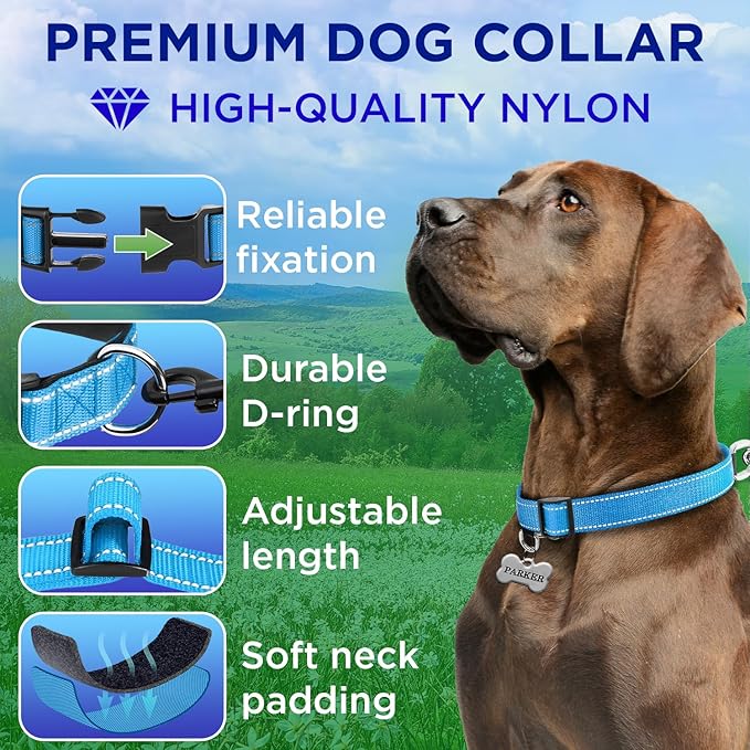 TECEUM Reflective Dog Collar – Sky Blue – S – Extra Soft Padding – Basic Nylon Pet Collar – Quick Release Buckle – Fits Small, Medium and Large Dogs, Puppies, Cats – ESA & Service Dog Options