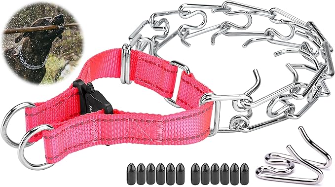 Dog Training Collar with Quick-Release Buckle, Adjustable Stainless Steel Collar for Small Medium Large Dogs (Pink, M/L Neck Girth 14.5"-18.6")