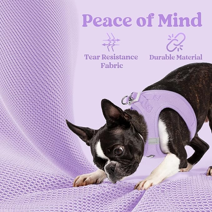 rabbitgoo Small Dog Harness, Step-in Soft Mesh Puppy Vest with Safety Buckle, Breathable Reflective Pet Harness for Small Medium Dogs, Light Purple L