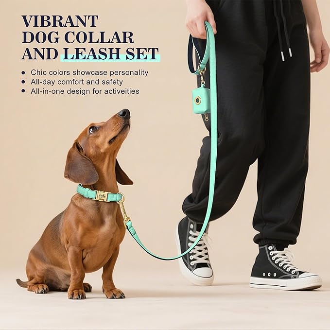 PET ARTIST Colorful Personalized Dog Collars, Custom Dog Collar with Silent Engraved ID Tag, Lightweight Breathable Nylon & Soft Padded, Matching Leash & Poop Bag for Medium Dogs,Green,M Fit 13-20"