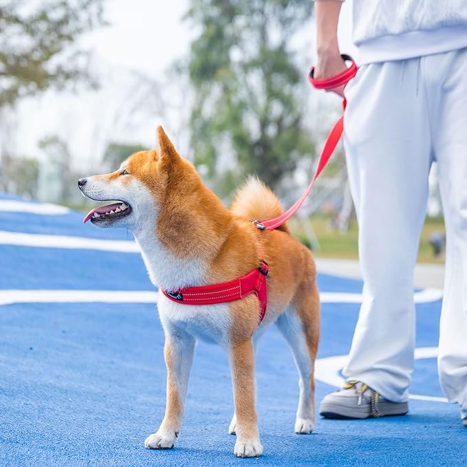 EXCELLENT ELITE SPANKER No Pull Dog Harness Step-in Adjustable Reflective Vest Soft Padded Easy Pet Chest Strap with Leash Clips for Small Medium Large Dogs Walking Training (Red-S)