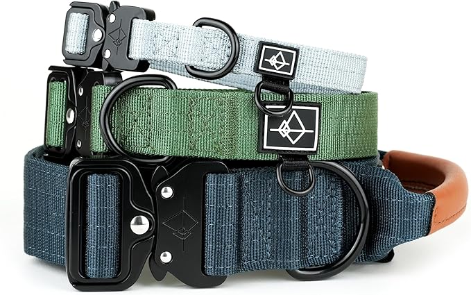 Made to ROAM Premium Explorer Control Collar - Adjustable Heavy Duty Nylon Dog Collar with Quick-Release Metal Buckle and Handle (Nevada Evening, Control Size 4)