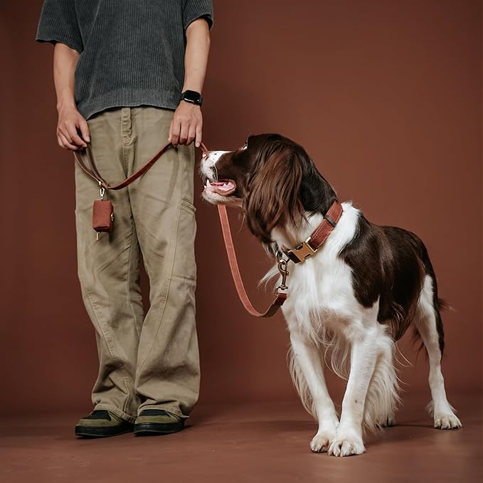 Didog Soft PU Leather Dog Collars for Medium Dogs,Classic Adjustable Dog Collars with Quick Release Metal Buckle,Easy Clean and Comfortable with Nylon Lining,M Neck 13-19"