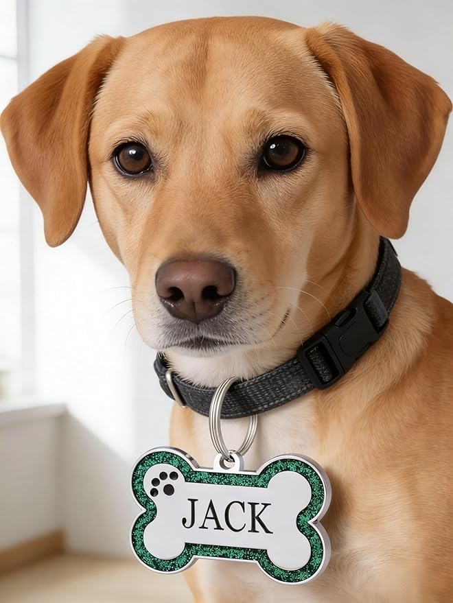 Personalized Dog Tags - Stainless Steel Deep Engraved Glitter Bone Shape Pet ID Tag, Double Sided Custom Text, Lightweight Durable Cat Dog Name Tag (Green, L)