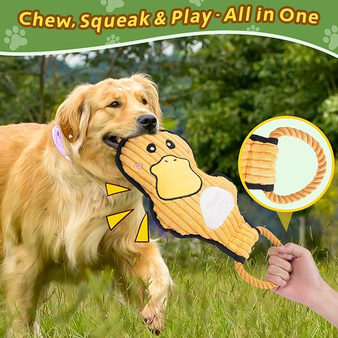 Grnstf 2-Pack Squeaky Dog Toys & Tough Tug of War Set - No Stuffing Chew-Resistant Plush Toys to Keep Them Busy, Best Birthday Gift for Small/Medium/Large Breeds (Ducks & Dino)