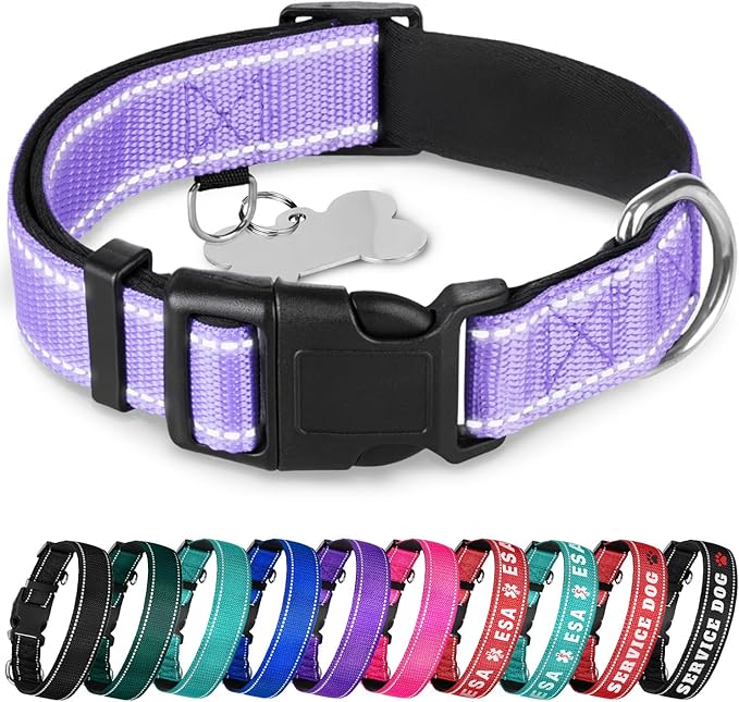 TECEUM Reflective Dog Collar – Lavender – S – Extra Soft Padding – Basic Nylon Pet Collar – Quick Release Buckle – Fits Small, Medium and Large Dogs, Puppies, Cats – ESA & Service Dog Options