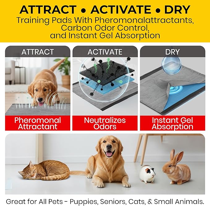 Glad for Pets JUMBO-SIZE/XL Charcoal Puppy Pads, All-in-One | Black Training Pads That ABSORB & Neutralize Urine Instantly | New & Improved Quality, 50 Count - 4 Pack