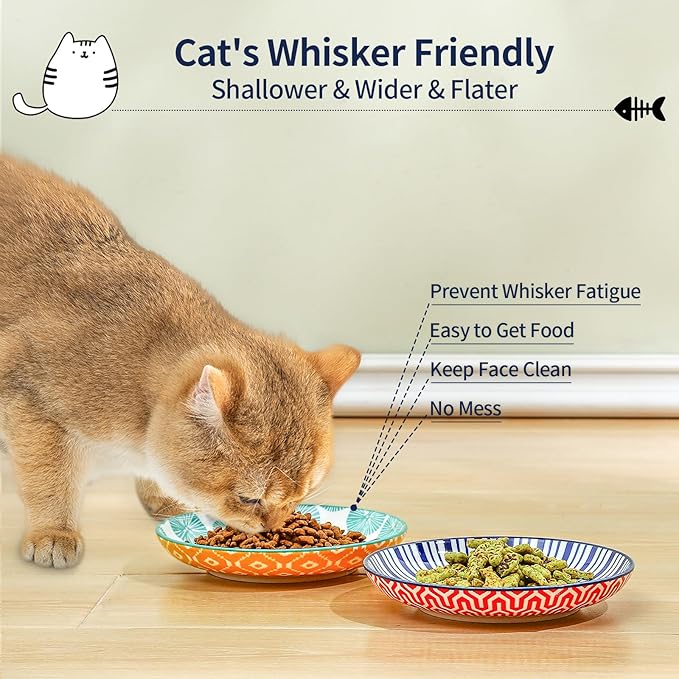 Selamica Ceramic Cat Bowls, 6 Inch Wide Shallow Cat Food Bowl for Relief Whisker Fatigue, Set of 6, Assorted Colors