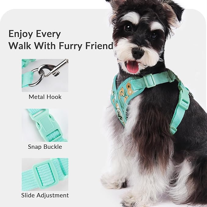Patas Lague Dog Harness with Leash Set Adjustable Soft Padded Step-in Dog Vest No Choke No Pull Reflective for Small Pets with Poop Bags and Dispenser, Solid and No-chew, Floral Green XS