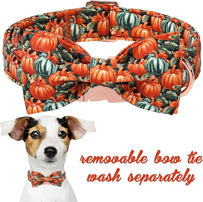 Unique style paws Cotton Dog Collar with Bow Autumn Puppy Collar with Halloween Oil Painting Pumpkin for Small Medium Large Boys Girls Dogs