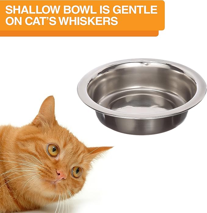 Neater Feeder Deluxe Mess Proof Cat Bowls Elevated for All Breeds – Made in USA – No Spill Raised Bowls for Indoor Cats – Stainless Steel Food and Water Bowl Set, Pet Dish Feeding Station, Aquamarine