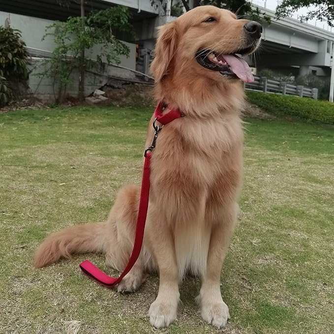 Premium 24 Inches Nylon Short Dog Leash with Heavy Duty Clasp and Comfort Padded Handle for Large Medium Breed Dogs Daily Use Jogging,Walking,Training etc... (24 Inches, Chili Pepper)