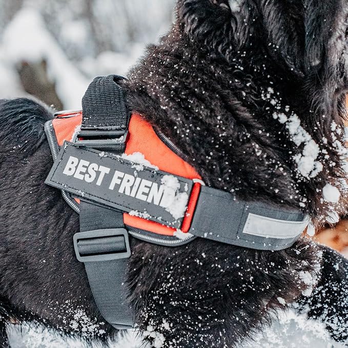 Personalized No-Pull Dog Harness with Name Patch, Adjustable, Reflective, Padded, Heavy Duty Pet Vest to Prevent Tugging, Pulling, or Choking, Training and Walking, Orange, XS