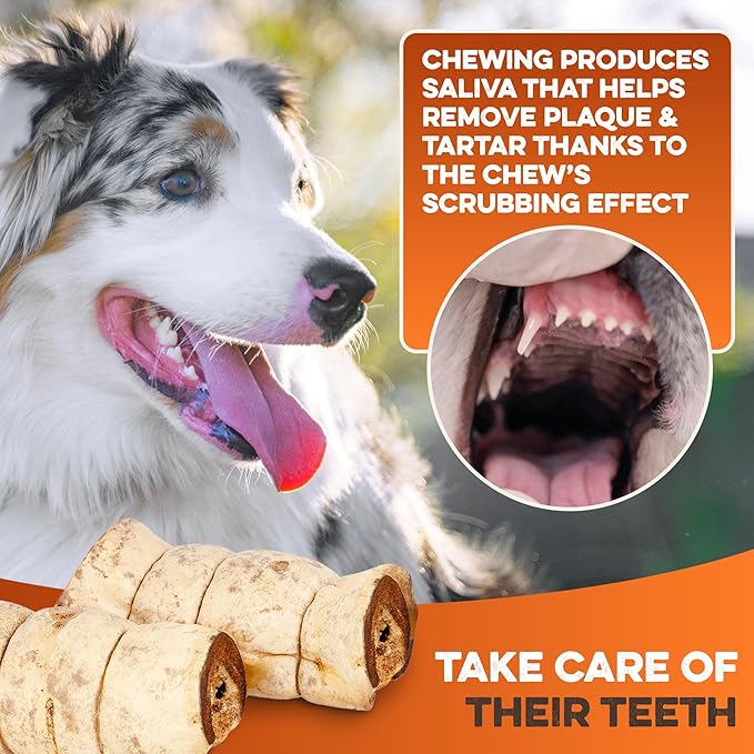 Premium Beef Cheek Rolls for Dogs 10-12" - (5-Pack), Peanut Butter Flavored Long Lasting, Safe & Natural Rawhide Alternative Chews, Ideal for Large Dogs & Aggressive Chewers, Supports Dental Health