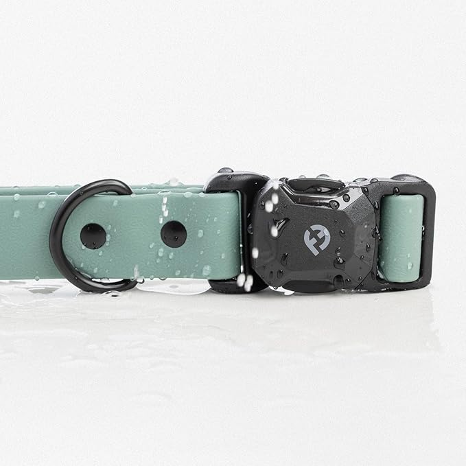 2025 New Edition, Fei & Eve PVC MagEase Dog Collar - Patented Magnetic Buckles | Fur-Safe | 450LB Escape-Proof | Adjustable Fit | Medium (Glacier Green)