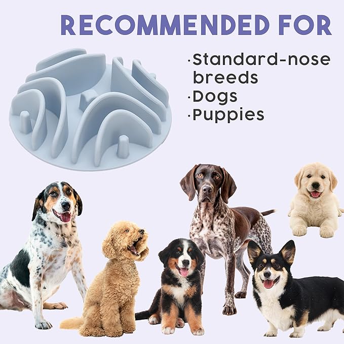 Awoo Great Vibes - Silicone Slow Feeder for Dog Bowls Over 5.5 Inches - Non-Slip, Wet and Dry Food-Compatible Pet Dish with Suction Cups - Extends Mealtime for Fast Eaters - Dishwasher Safe (Sage)