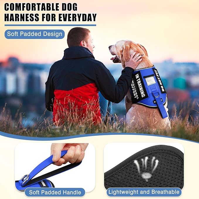 Service Dog Vest Harness+ID Tag+10 Patches,Metal Serivce Dog Tag&Reflective Emotional Support Dog Vest with Handle for Large Dogs,Easy Put On/Off for Training/Walking/Everyday Blue L