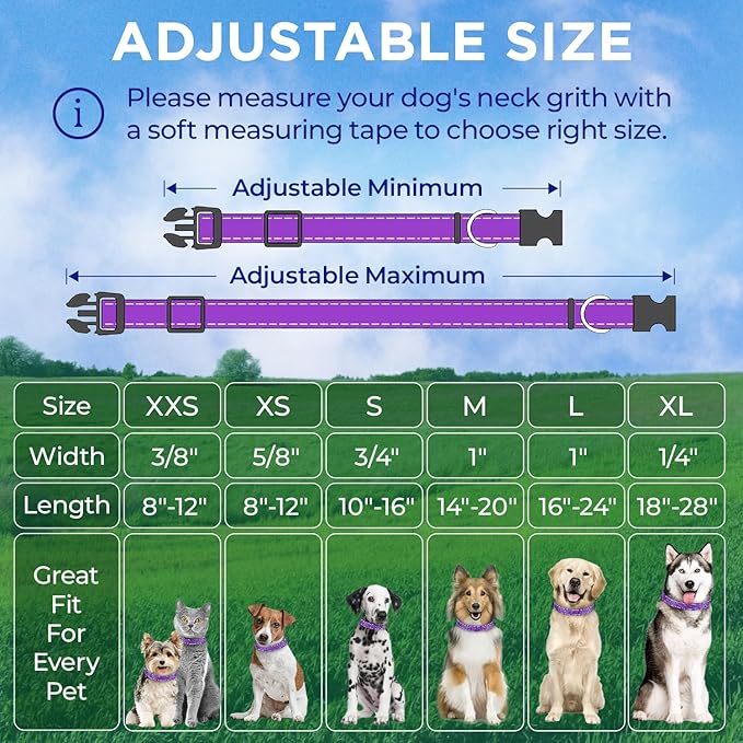 TECEUM Reflective Dog Collar – Purple – XL – Basic Nylon Pet Collar – Quick Release Buckle – Fits Small, Medium and Large Dogs, Puppies, Cats – ESA & Service Dog Options