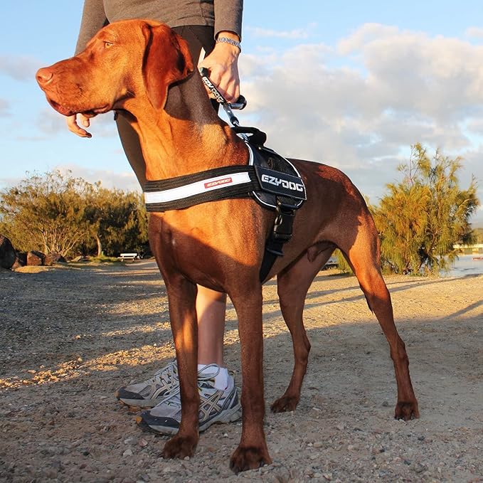 EzyDog Convert Dog Harness – Trail-Ready Rugged Harness for Walking, Hiking & Outdoors with Reflective Piping, Badge Attachment Points, Traffic Handle, & Comfort Lining (XX-Large, Corduroy)