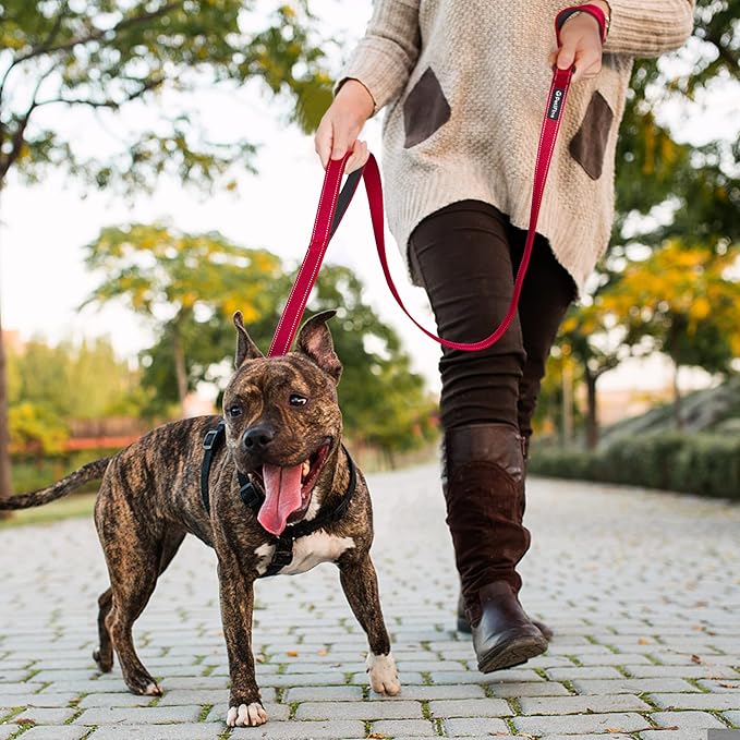 PetiFine 6FT Heavy Duty Dog Leash with Soft Padded Double Handle, Durable Strong Clasp Dog Leashes, Reflective Nylon Walking Lead for Large,Medium,Small Breed Dogs, Red