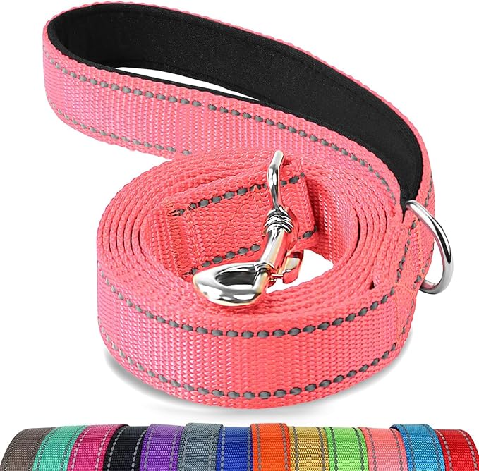 Joytale Double-Sided Reflective Dog Leash, 6 FT/5 FT/4 FT, Padded Handle Nylon Heavy Duty Leashes for Medium & Large Dogs Walking, Neon Pink, 6FT