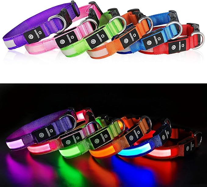 MASBRILL Light Up DogCollars-Rechargeable LED Dog Collar-Waterproof Night Walking Glowing Dog Collar for Small Medium Large Dogs