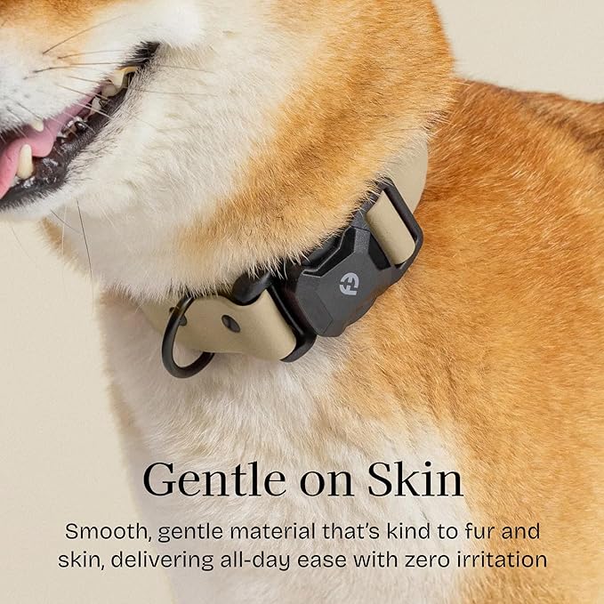 2025 New Edition, Fei & Eve PVC MagEase Dog Collar - Patented Magnetic Buckles | Fur-Safe | 450LB Escape-Proof | Adjustable Fit | Small (Champagne)