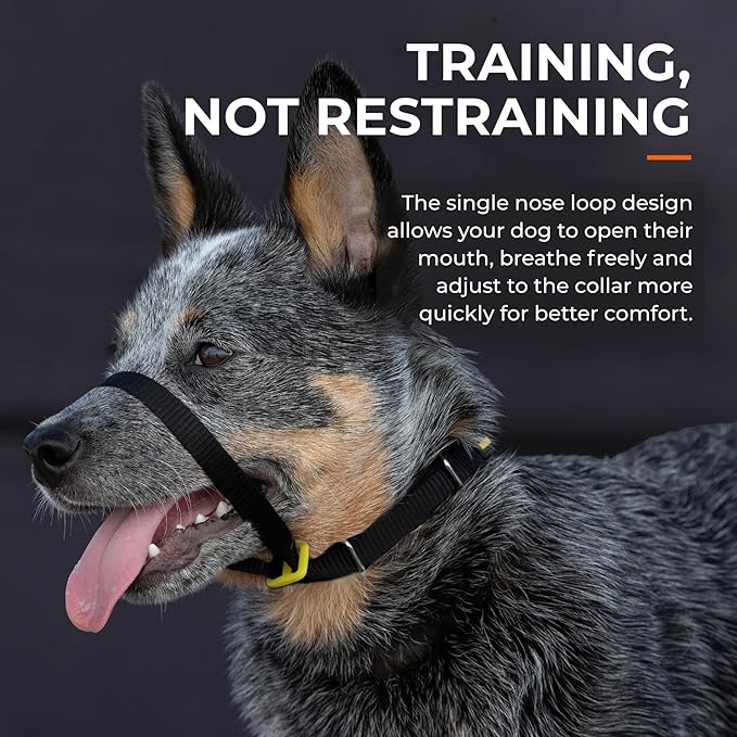 Canny Collar No-Pull Dog Head Collar | Train Your Dog to Stop Pulling & Walk On a Loose Leash | Gentle, Safe, Comfortable Training Aid | Small Dogs | Blue, Size 2