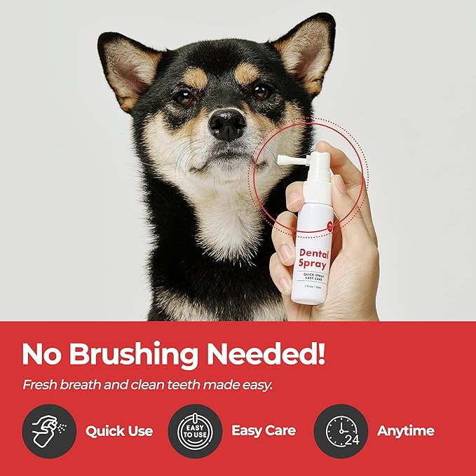 JAYU PET Dental Spray for Dogs & Cats, Tartar Control & Fresh Breath, No Brushing Needed, Protects Teeth & Gums, Easy Daily Oral Care, 1 fl oz