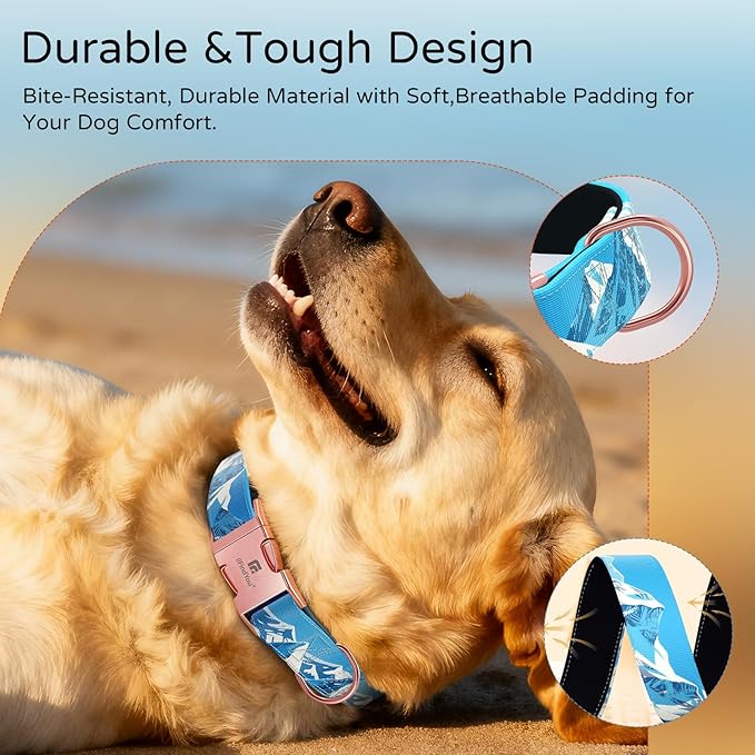 Dog Collar for Medium Dogs, Rocky Mountains Pattern, Heavyweight Polyester Adjustable Puppy Collar with Secure Metal Buckle，Suitable for Female Dogs M