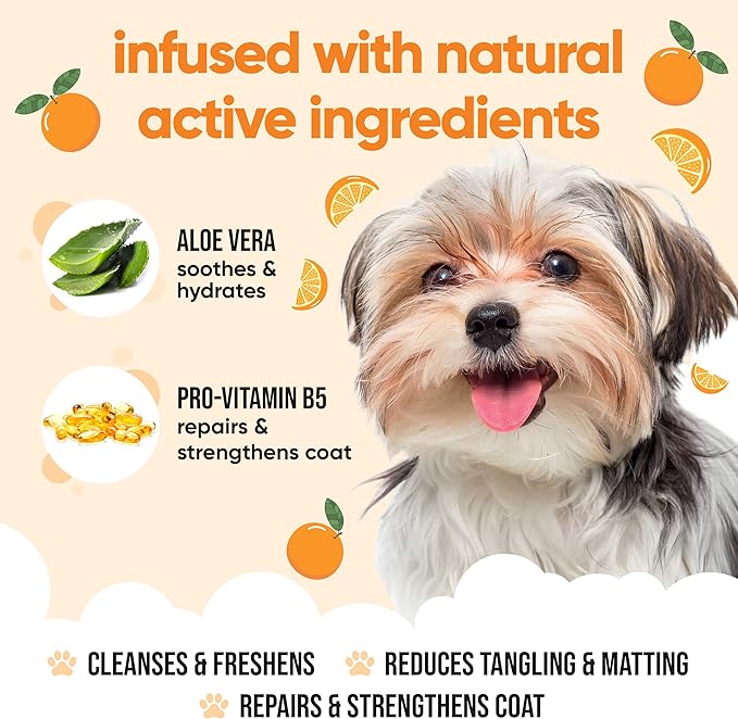 Orange Dog Shampoo by Buddycare | with Aloe Vera and Pro Vitamin B5 (50.72oz)