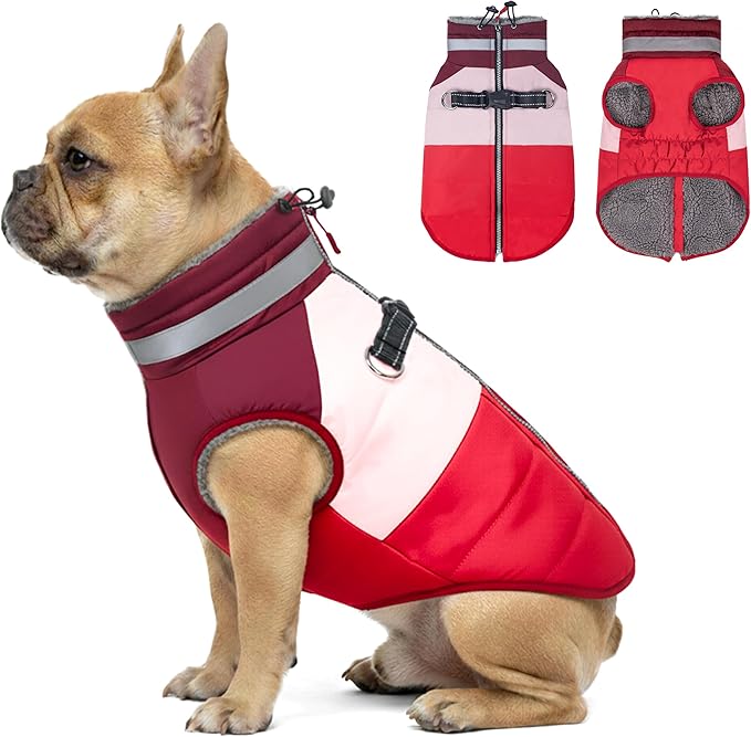 azuza Dog Jacket for Small Dogs Waterproof Dog Coat with Reflective Strips and Harness Built in Warm Fleece Dogs Winter Coat Windproof with Back Zipper, Red M