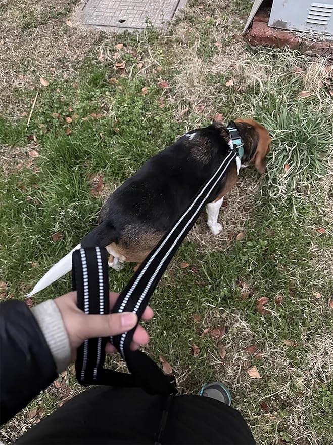 TRUE LOVE Truelove Reflective Dog Leash Puppy Walking Lead, Padded Pet Chain Rope，Length 110cm TLL2111(Black,L)