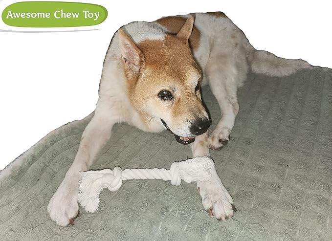 GOGOTAIL 2-Pack Dog Rope Toys for Small & Medium Dogs – Durable 10" Cotton Chew Tug Toys with 2 Knots for Puppy Teething, Dental Cleaning, Boredom Relief, Indoor & Outdoor Play, White