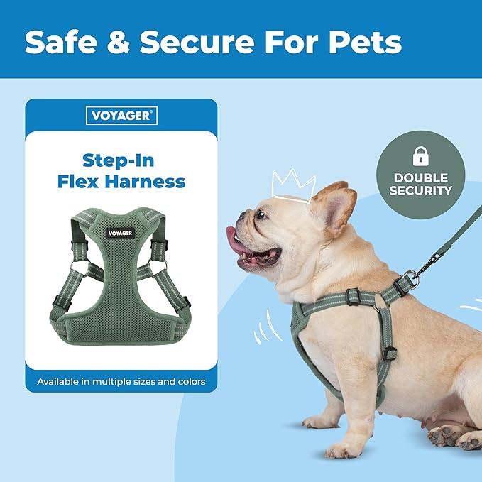 Best Pet Supplies Voyager Mesh Dog Breathable Harness Reflective Stitching, All Weather Adjustable for Walking Training, or Running - Heavy Duty & Durable, Moss Green, XS