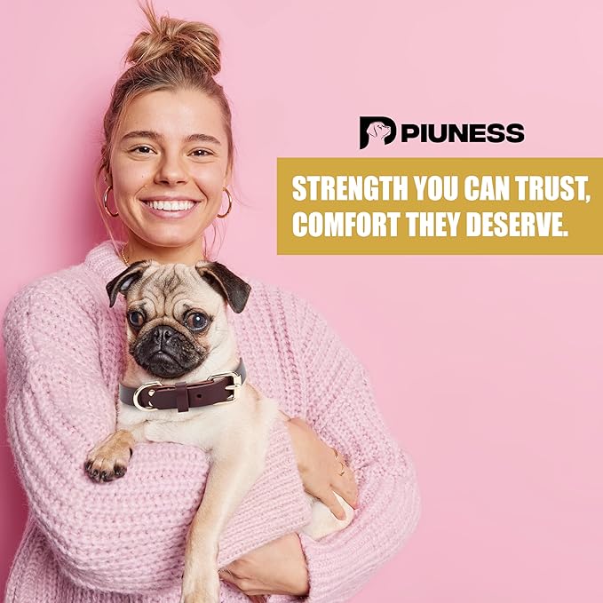 100% Real Leather Dog Collar, Premium Adjustable Fit with Durable Buckle, Stylish Comfort for Dogs (Small)