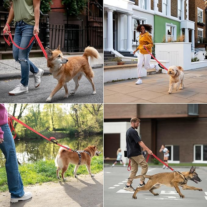 6 Foot Red Dog Leashes for Large Medium and Small Breed Dogs That Pull,Reflective Nylon Heavy Duty Dog Leash with 2 Comfortable Padded Traffic Handles and Car Seat Belt for Walking and Training
