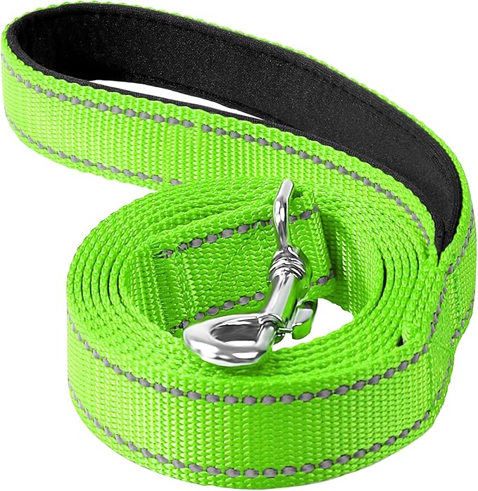 Erbine 6FT Reflective Nylon Dog Leash with Soft Padded Handle for Walking, Running and Training, Supports Small Medium and Large Dogs (Green, 1 Inch Wide)