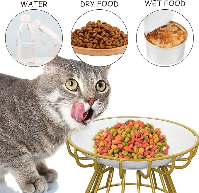 BNOSDM Raised Cat Dish Ceramic Shallow Cat Bowl with Gold Stand Elevated Pet Food Plate for Indoor Cat Kitten Small Dogs